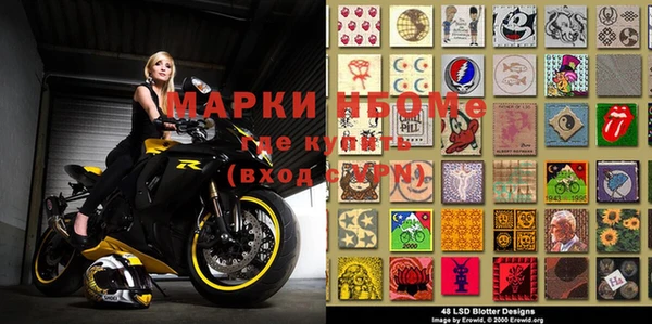 шишки Баксан