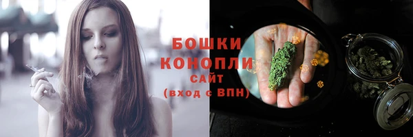 шишки Баксан