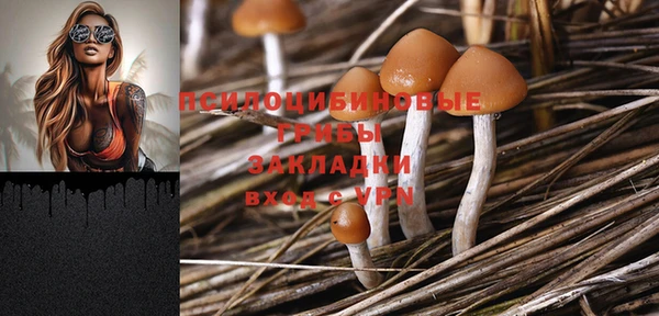 стафф Балахна