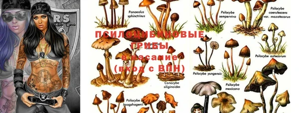 шишки Баксан