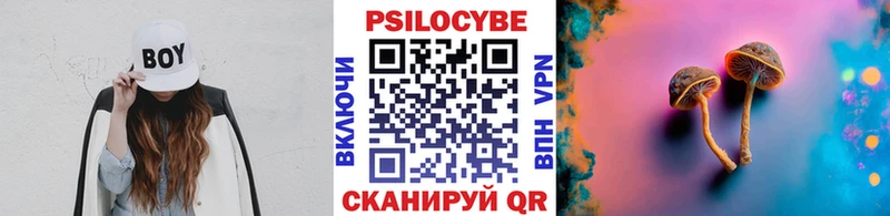 Псилоцибиновые грибы Psilocybine cubensis Безенчук